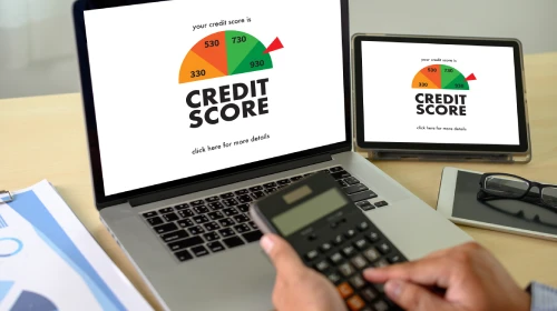 Guidelines to Improve and Maintain Healthy Credit Score