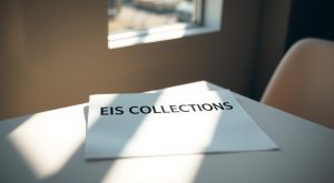 decoding-your-eis-collections-letter