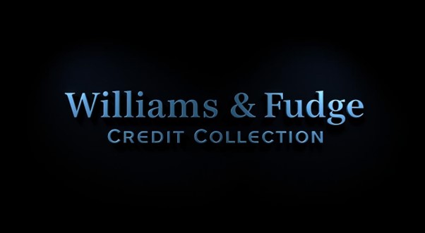 williams-and-fudge-how-to-remove-it-from-your-credit-report